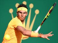 IM电竞官方入口-法网碾压蒙特卡洛大师赛，纳达尔惊艳四座的简单介绍