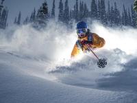 IM电竞投注平台-卡塞米罗的救赎与厄瓜多尔的奇迹，一场逆转如何定义足球的永恒魅力