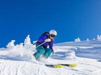 IM电竞官网首页-绝杀与点燃，当绿茵传奇碰撞乒乓王者，赛场如何定义永恒瞬间？