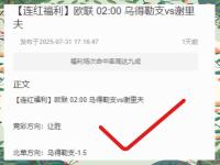 IM电竞APP-柏林赫塔再胜一仗，仍在争夺前四位置的简单介绍