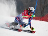 IM电竞-奥地利选手在滑雪项目中飘然夺冠