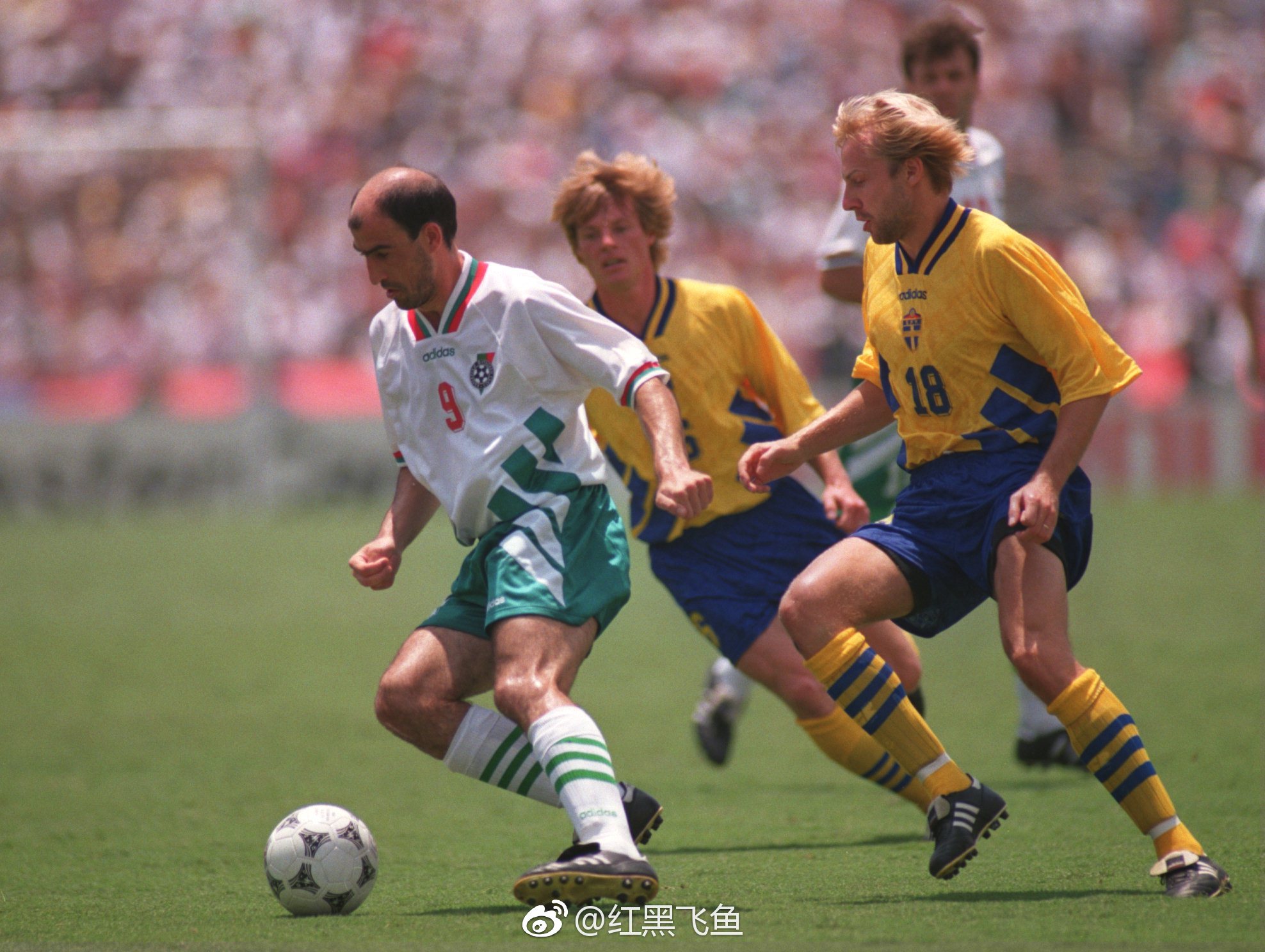 关于克罗地亚横扫瑞典，卡拉斯科高光表现的信息