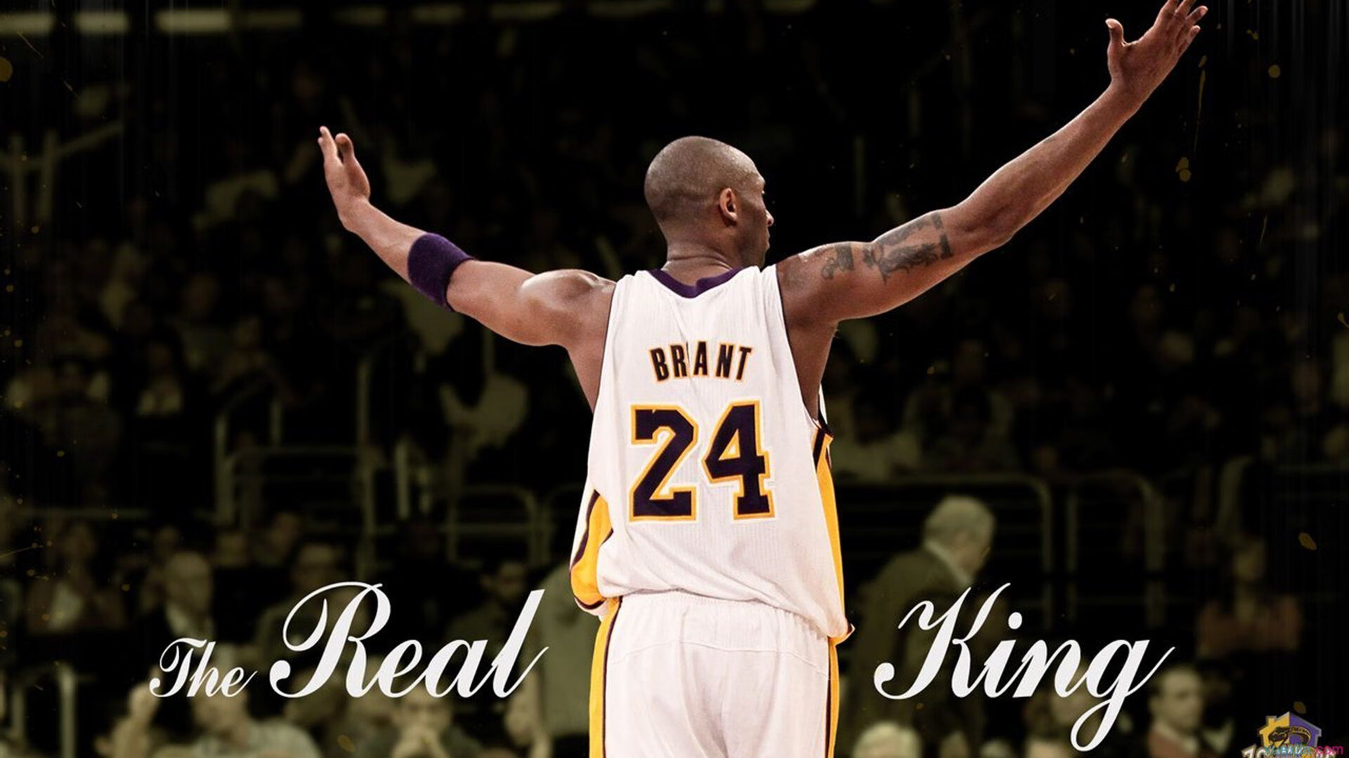 总决赛之夜，福克斯的自我救赎