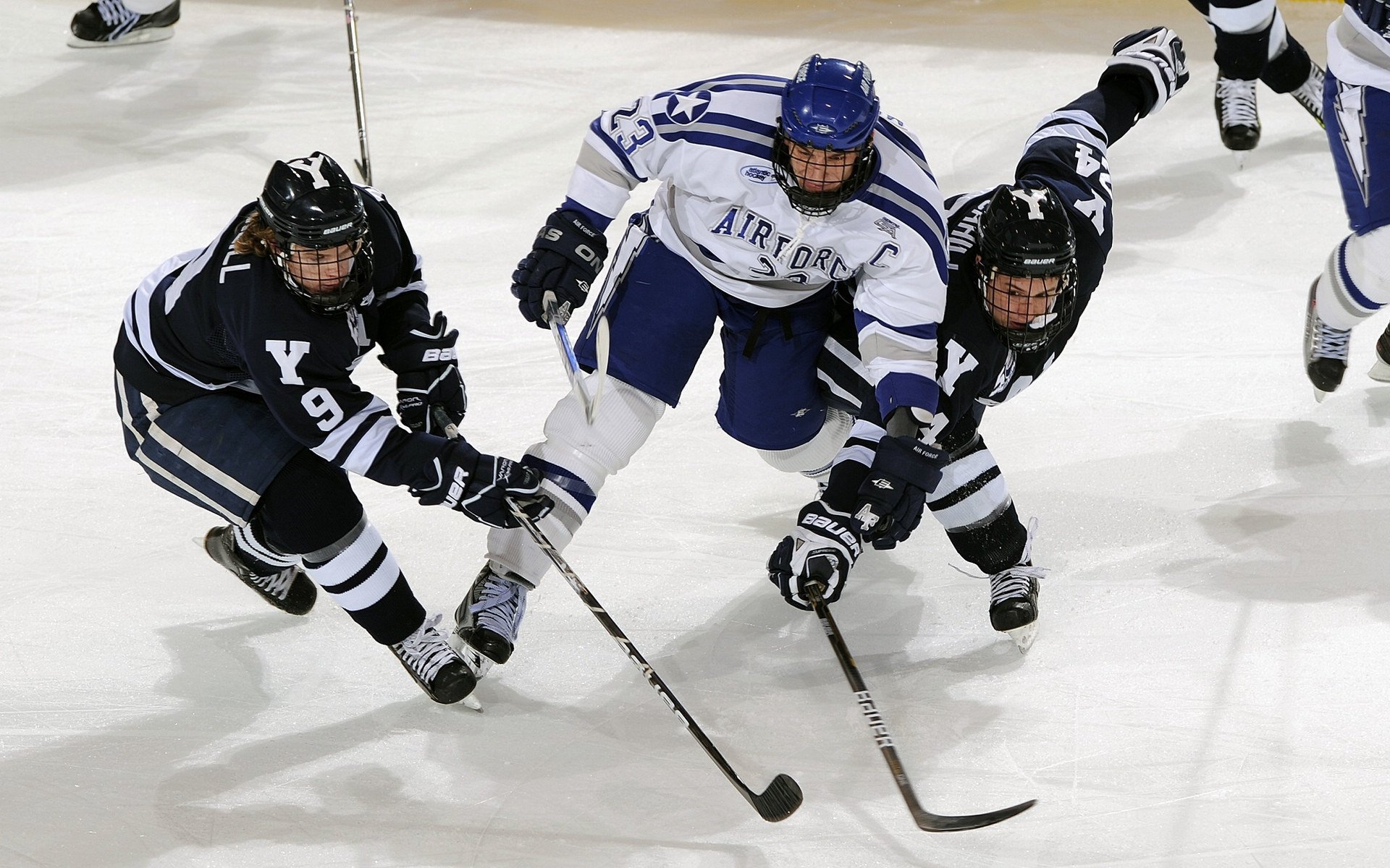 国王鏖战上海队，麦科勒姆高光表现引爆全场